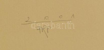 Párkányi Raab Péter (1967-): A gyöngy születése. Cinkográfia, papír, jelzett, számozott: 100/27, lap...