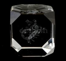 Skorpió figurás lézergravírozott kristály kocka. 4x4x4 cm Kis tokkal.