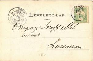 1902 Rimaszombat, Rimavská Sobota; Tompa Mihály szobor. Lévai Izsó / statue