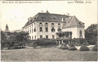 Bad Vöslau, Moriz Ritter von Gutmannsches Schloss / castle (EK)