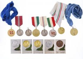 ~1975-1986. 8db vitorlássport díjérem (ebből 7db szalagon) + 5db vitorlássport díjplakett, köztük "Magyar Vitorlás Szövetség" és "Kék Szalag" T:1-2-