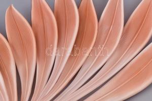 10 db üveg dísz, hajlított levél formájú, rózsaszín, csiszolt végekkel, egyik végén kisebb csorbával...