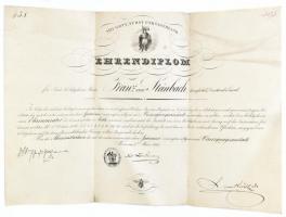 1833 Az Első Orszták Takarékpénztár segélyegyetének pesti kirendeltségének vezetésére szóló oklevél, Rézmetszetű méh illusztrációval 45x33 cm