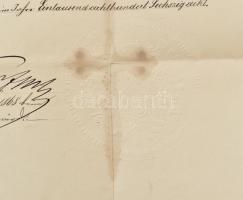 1868 Katonai végelbocsájtó levél (obsit) hidegkuti Steinbach Ervin részére az 5. gróg  Radetzky husz...