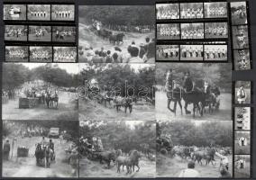 cca 1950-1970 Fogathajtás, 7 db fotó, 12x9 cm + néptáncosok, negatív film kontakt másolata, 13 db, összesen 35 képkockával, 4x3,5 cm és 11,5x3,5 cm közötti méretben