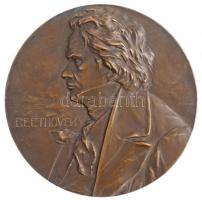 Ausztria ~1910. Beethoven egyoldalas Br plakett. Szign.: Franz Stiasny (90mm) T:2 kis patina Austria ~1910. Beethoven one-sided Br plaque. Sign.: Franz Stiasny (90mm) C:XF small patina