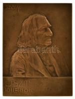 Sződy Szilárd (1878-1939): Liszt Ferenc bronz plakett, Jelzett. hátul csavarral 16x12 cm