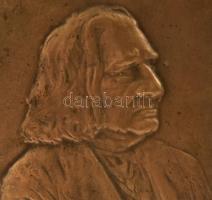Sződy Szilárd (1878-1939): Liszt Ferenc bronz plakett, Jelzett. hátul csavarral 16x12 cm