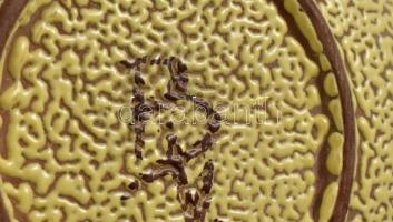 BV jelzéssel: Kerámia tál. Hólyagos mázzal. Hibátlan 22x19 cm