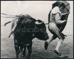 1971 Bikaviadal, feliratozott sajtófotó, 16,5×20,5 cm