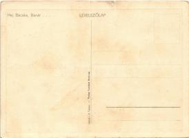 Haj Bácska, Bánát...! / Hungarian irredenta propaganda, border s: D. Takács (kis szakadás / small te...