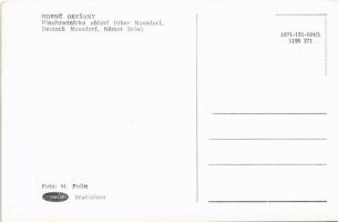 Felsődiós, Németdiós, Obernussdorf, Horné Oresany; látkép, szőlő. M. Polín felvétele / general view,...