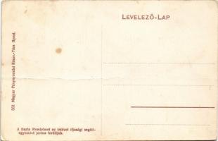 Budapest VIII. Tisztviselőtelepi M. kir. állami főgimnázium (fa)