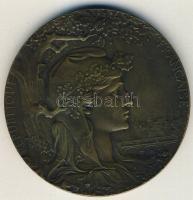 Franciaország 1900. "Nemzetközi Kiállítás" dekoratív, nagyalakú Br emlékérem T:2