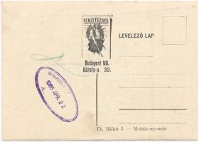 Nemzet Szava a Magyar Nemzeti Szocialista Földműves- és Munkáspárt hivatalos napilapja (később hetil...