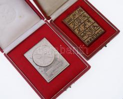 1966. "1966. évi országos csapatbajnokság III. osztály női II." ezüstözött fém tenisz díjp...