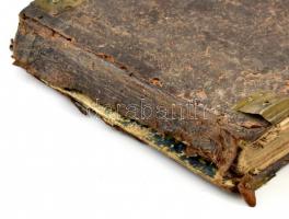 Pongrácz Eszter: Igaz isteni szeretetnek harmatjából nevelkedett drága kövekkel kirakott arany koron...