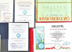 Vegyes kitüntetést adományozó iratok, oklevelek a kommunizmus időszakából