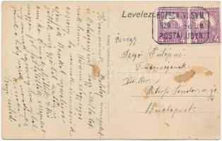 1929 Bozsok, nyaralóhely + "BOZSOK VASVM. POSTAI ÜGYN." (fl)