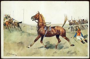 Hourse s: Schönpflug