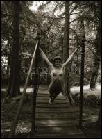 cca 1985 körül, Menesdorfer Lajos (1941-2005) budapesti fotóművész hagyatékából 13 db vintage NEGATÍ...