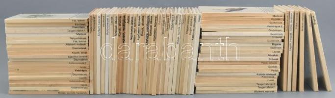 Búvár Zsebkönyvek sorozat 66 kötete és a Kolibri Könyvek sorozat 11 kötete. Bp., Móra. Kiadói kartonált papírkötések, változó állapotban.