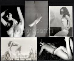 cca 1930 és 1988 között, több fotómodell közreműködésével készült akt felvételek, 13 db vintage fotó...