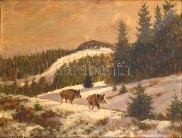 Olgyay Ferenc (1872-1939): Vaddisznók a hóban. Olaj, vászon, jelzett. Sérült dekoratív keretben, 60x80 cm