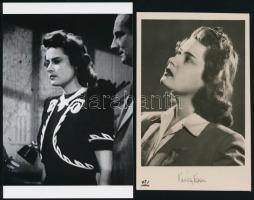 cca 1943 Karády Katalin (1910-1990) színésznő, a Magyar Filmiroda kiadásában megjelent vintage fotólap, hozzáadva egy db mai nagyítást Fekete György (1904-1990) budapesti fényképész hagyatékából, 10x15 cm és 13,8x8,7 cm