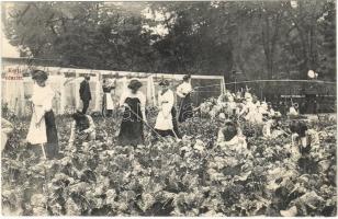 1913 Budapest XIV. Amizoni országos magyar nőnevelő intézet, kert. Amerikai út 32. (fa)