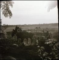 cca 1960-as évekből 13 db vintage NEGATÍV Kotnyek Antal (1921-1990) budapesti fotóriporter hagyatéká...