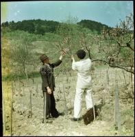 cca 1960-as évekből 13 db vintage NEGATÍV Kotnyek Antal (1921-1990) budapesti fotóriporter hagyatéká...