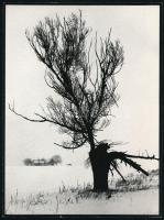 cca 1975 Vincze János (1922-1999) kecskeméti fotóművész hagyatékából feliratozott vintage fotóművészeti alkotás (Sivár táj), 23x17,2 cm