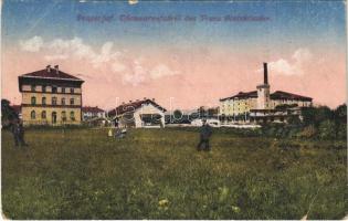 1918 Pragersko, Pragerhof; Thonwarenfabrik des Franz Steinklauber / pottery factory. Verlag Amalie Churfürst (EB)
