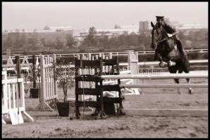 cca 1980-as évek, Magyar Alfréd budapesti fotóművész lovakról, lovasokról, akadálypályán ugrásokról ...