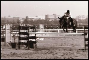 cca 1980-as évek, Magyar Alfréd budapesti fotóművész lovakról, lovasokról, akadálypályán ugrásokról ...