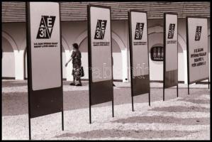 cca 1980-as évek, Magyar Alfréd budapesti fotóművész lovakról, lovasokról, akadálypályán ugrásokról ...