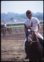 cca 1980-as évek, Magyar Alfréd budapesti fotóművész lovakról, lovasokról, akadálypályán ugrásokról ...