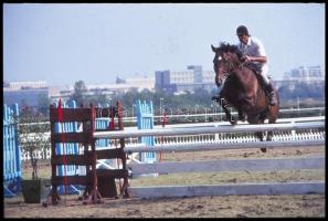 cca 1980-as évek, Magyar Alfréd budapesti fotóművész lovakról, lovasokról, akadálypályán ugrásokról ...