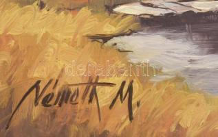 Németh Mátyás (1939-): Vízparton. Olaj, farost, hátoldalán címkén feliratozott, fa keretben, 15x20 c...
