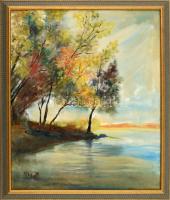 99 Gott jelzéssel: Őszi vízpart. Olaj, vászon. Dekoratív fa keretben. 60x50 cm