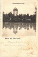 1903 Szászsebes, Mühlbach, Sebesul Sasesc, Sebes; Régi vártorony. Adolf Weissörtel / Alter Befestigungs-Turm / old castle tower (fl)