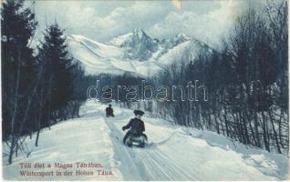 1913 Tátra, Magas-Tátra, Vysoké Tatry; téli sport, szánkózók / winter sport, sledding (EK)