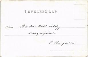 Birds with violin. litho (EK)