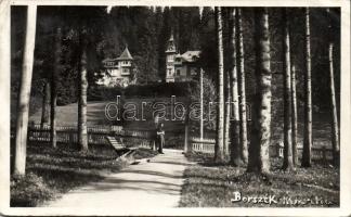 Borszék Marika villa (fl)