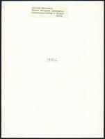 Leonard Bernstein karmester, feliratozott sajtófotó, 23×18 cm