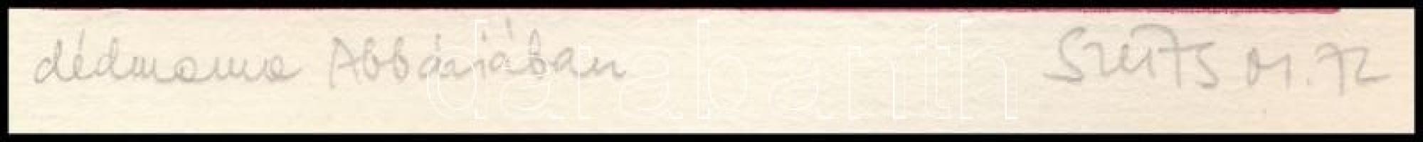 Szüts Miklós (1945-): Dédmama Abbáziában. Akvatinta, papír, jelzett. Lap szélén szakadásokkal. 12x9,...