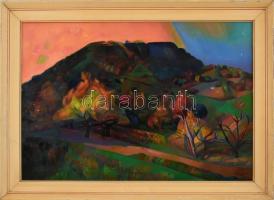 Ránics László (?-): Hegyek között, 1987. Olaj, vászon, jelzett. Kissé sérült (felüleit festék hiányo...