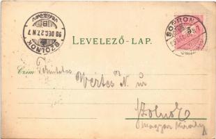1898 (Vorläufer) Sopron, Oedenburg; Várostorony, látkép, Színház, Széchenyi tér. Art Nouveau, floral...