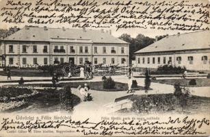 Félixfürdő hotel and park